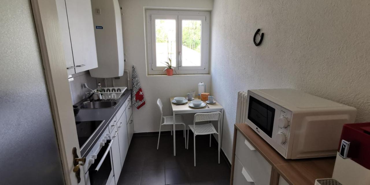 Helvetia 2 Zimmer Apartment Mit Parkplatz 苏黎世 外观 照片
