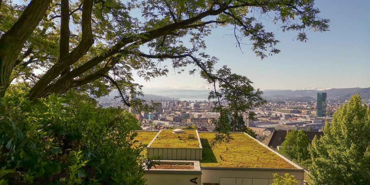 Helvetia 2 Zimmer Apartment Mit Parkplatz 苏黎世 外观 照片
